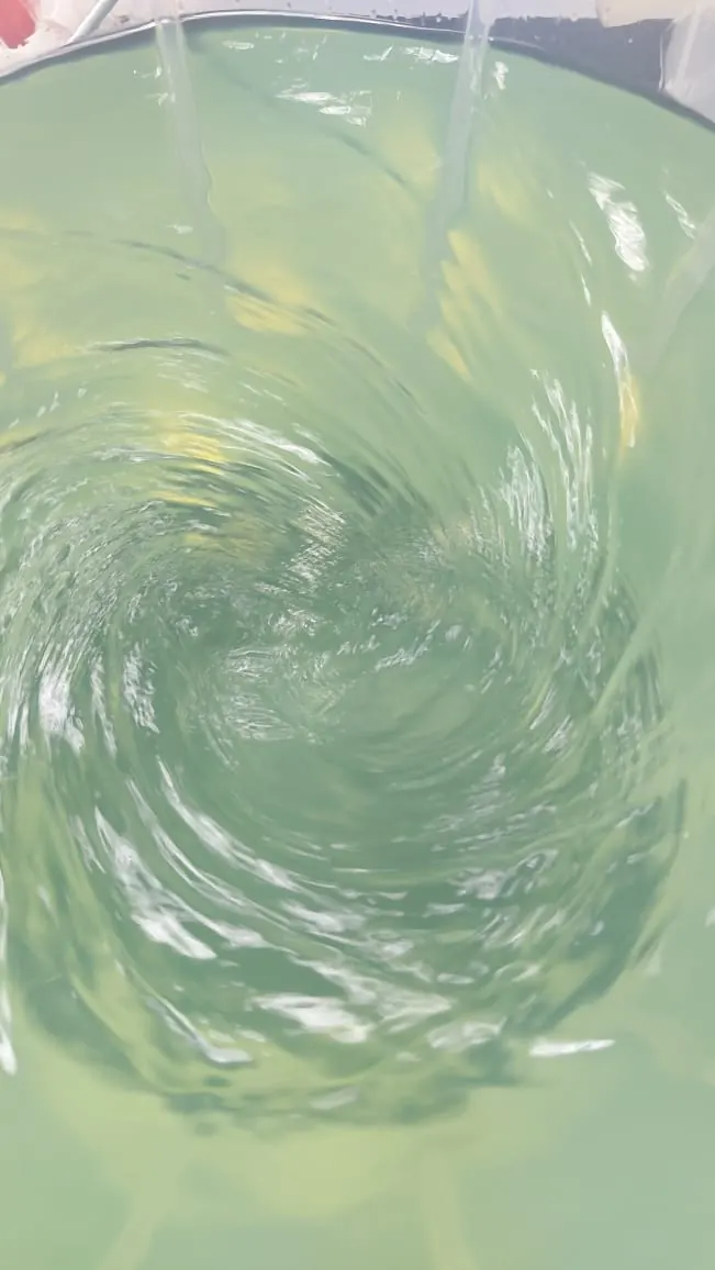 The stirrer vortex in a treated sample